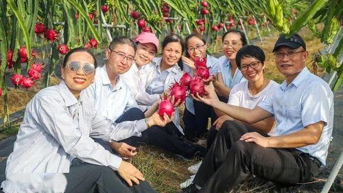 吃瓜观众好热情