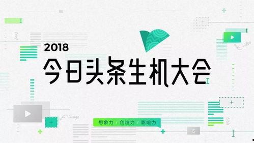玉林今日头条最新动图,最新动图揭示城市活力瞬间